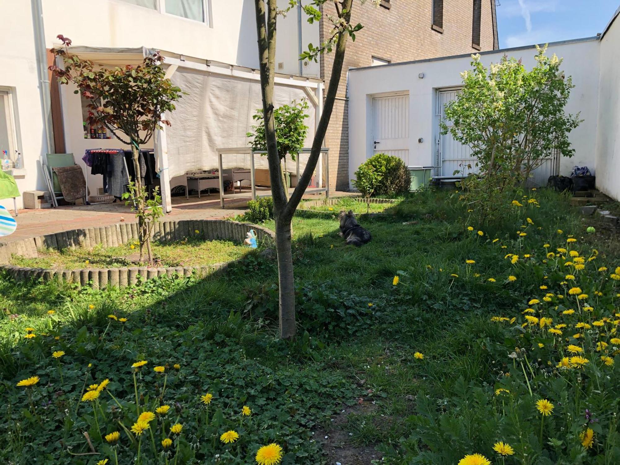 Kleve-Kellen Daire Kleve  Dış mekan fotoğraf